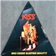 Kiss - Who Kissed Sleeping Beauty?